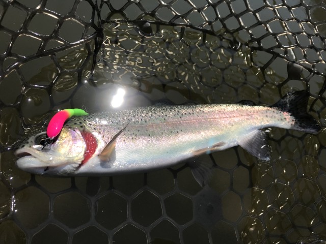 !cid_3F6C4753-ED98-4982-B4A6-FEDC47DFBB50