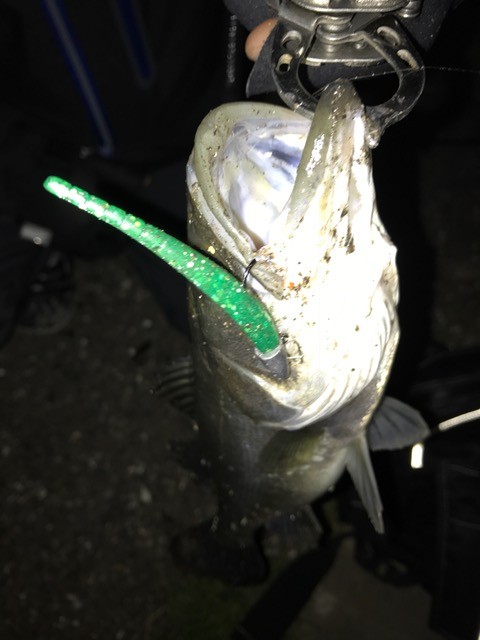 !cid_5B1FFA3C-DBD2-41F8-A7D2-1B67569693E6