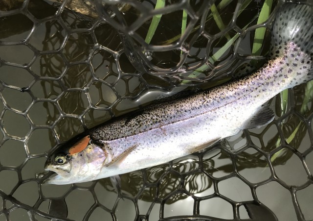 !cid_6302B9DD-109A-42F7-946C-D974B4F0598A