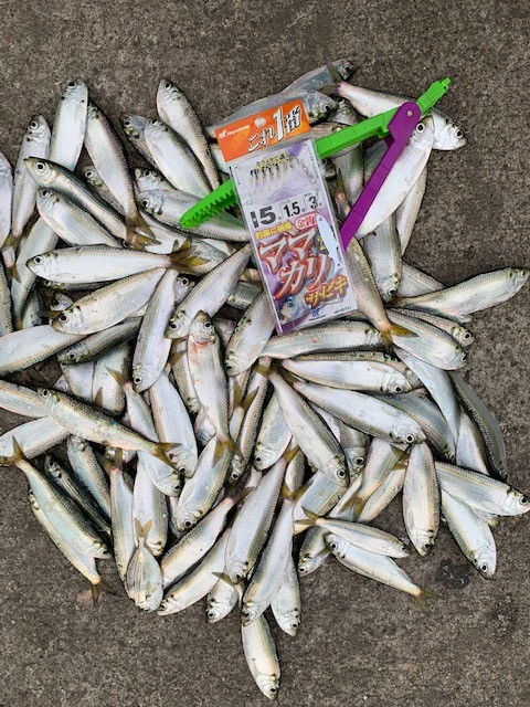 !cid_6FF03762-1B82-40C6-822F-AD31C471BFE3