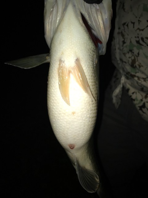 !cid_7A44D612-0162-45E6-8DFE-1239BB9E294B