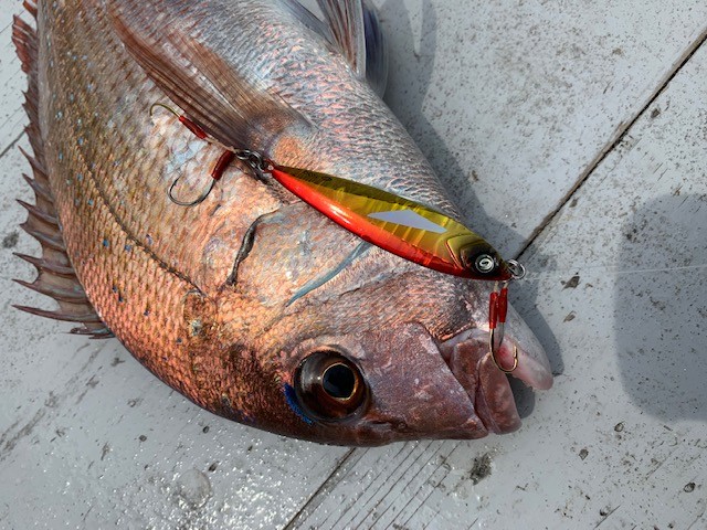 !cid_D042BEB6-E5D1-4FF0-89C5-3F755467D5D7