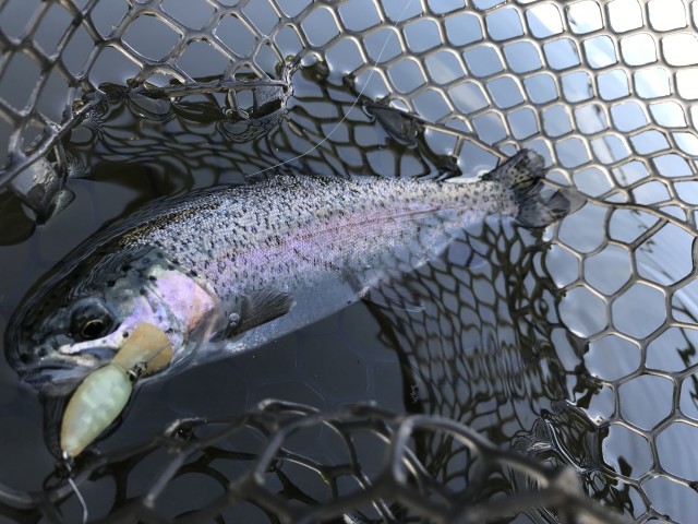 !cid_E6A521D5-65C7-4D01-AF9E-F21473F9A29A