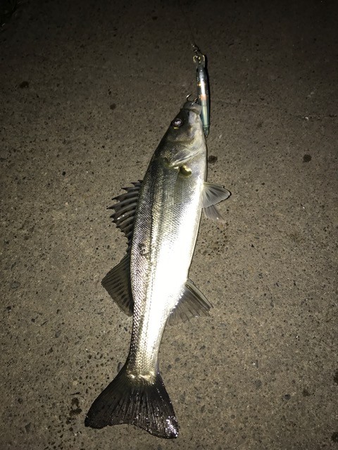 !cid_F858D6D2-5ED8-449B-B433-65558A72083C