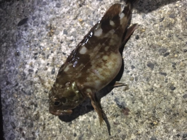 df4b3a14-5039-4876-bbd2-f8ed7bfa5eb9