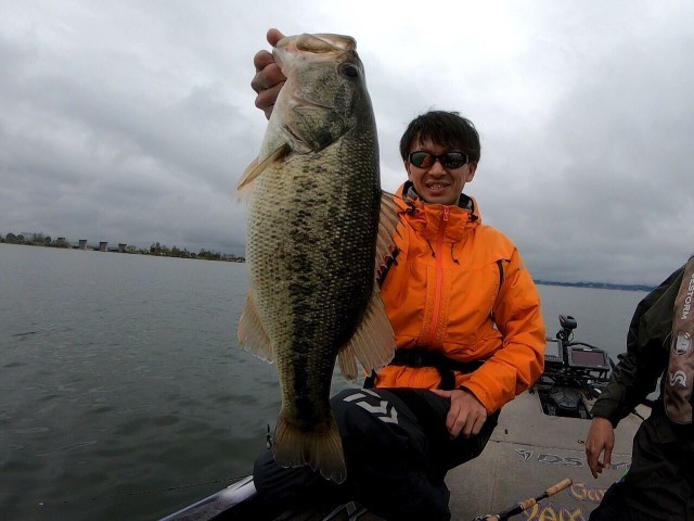 e1361801-060a-45b2-ac49-0e7e50d9e88b