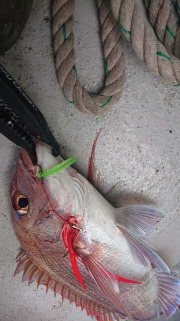 o0607108014396284427