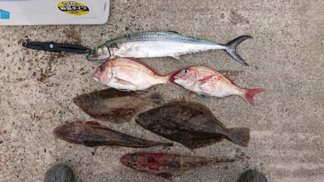 o1080060714396488379