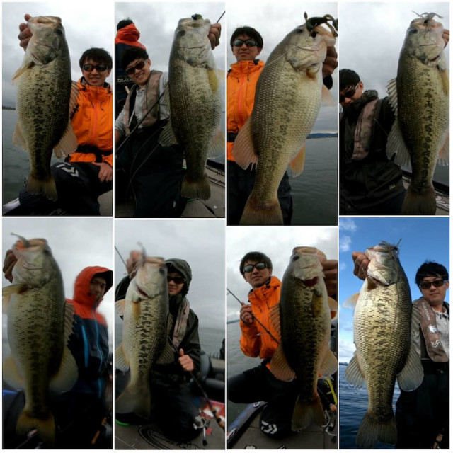 o1080108014397671392