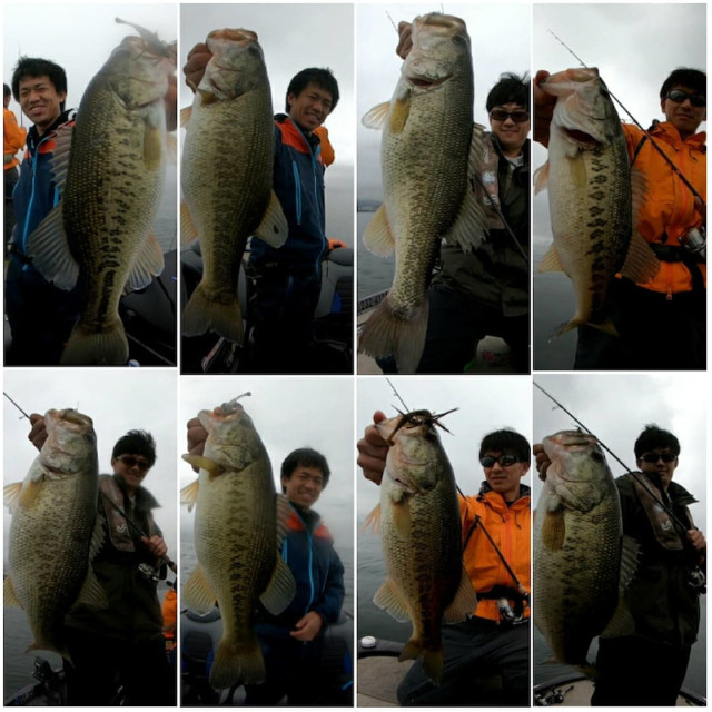 o1080108014397671394