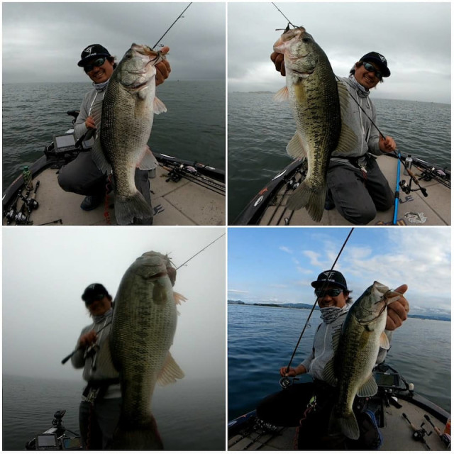 o1080108014397671396