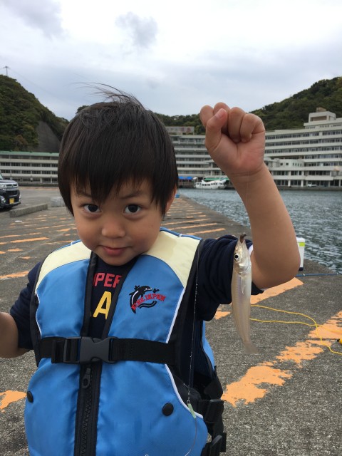 驍｣譎ｺ蜍晄ｵｦ逕ｺ縲√♀繧医・蟆ｾ鮃ｲ蟶・IMG_4855