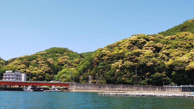 湾内アジだらけ(*”ω”*)