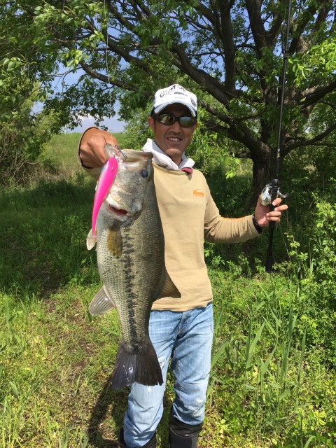 3d68e575-f43c-4adc-9910-013a4570ddaf