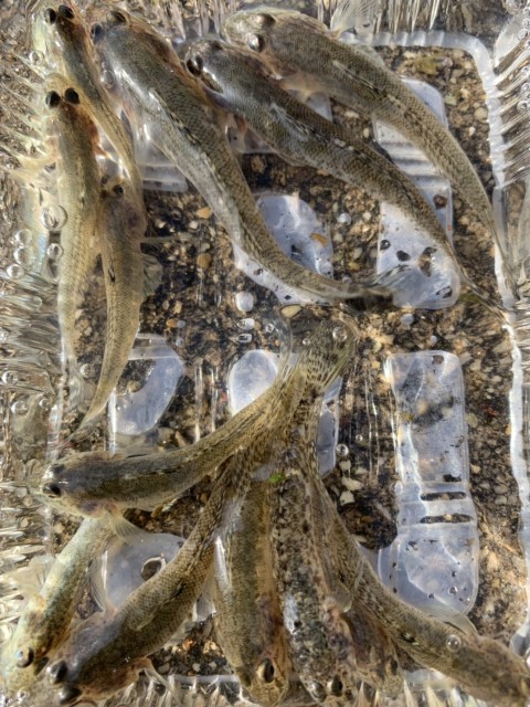 5B24A02A-9FE8-4582-B53A-036007BB2C57