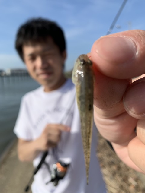 5C14C6EB-2A5F-40A1-B71E-8367710F9AAF