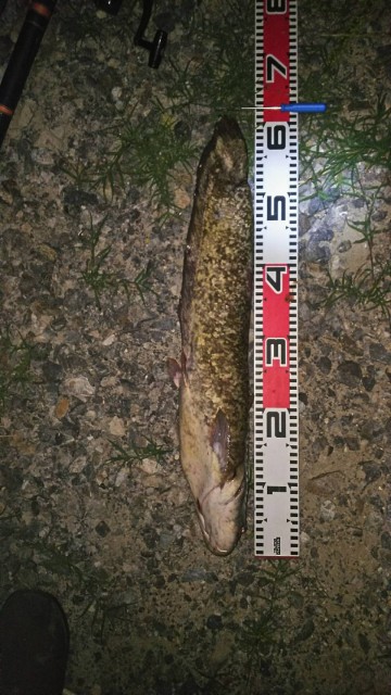 6016f575-4513-40d8-9bf5-6108f9a8b8e5