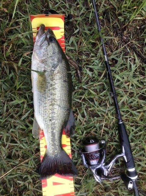 674d4269-1ca7-4cee-acbf-58bbb7b2bfe9