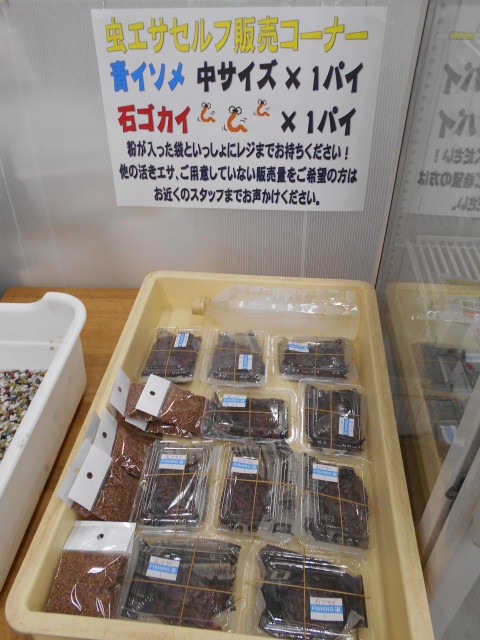 虫エサセルフ販売始めました！