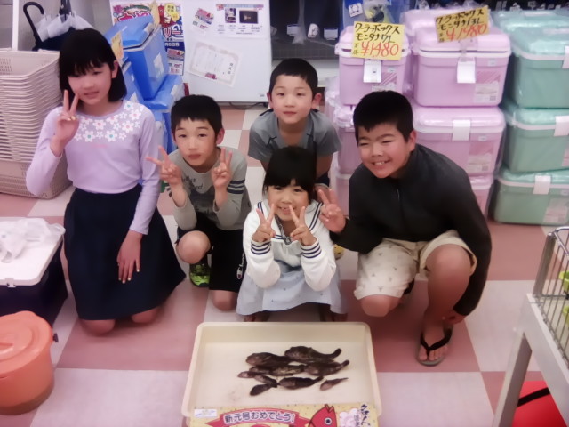 お魚釣れたよ日記♪