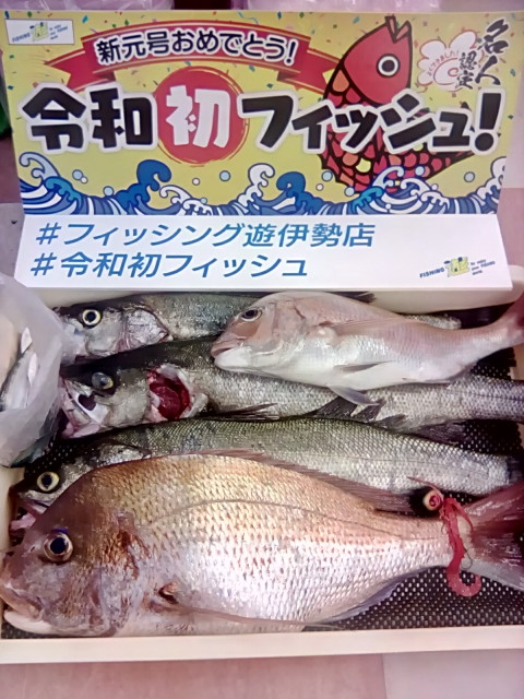 本日も、見事な釣果です！
