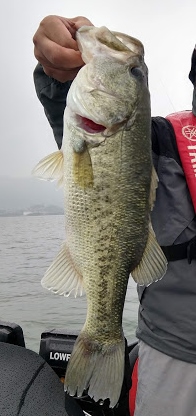 IMG_20190528_073439355_HDR