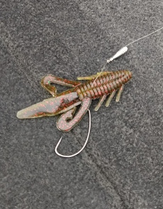 IMG_20190528_105855535