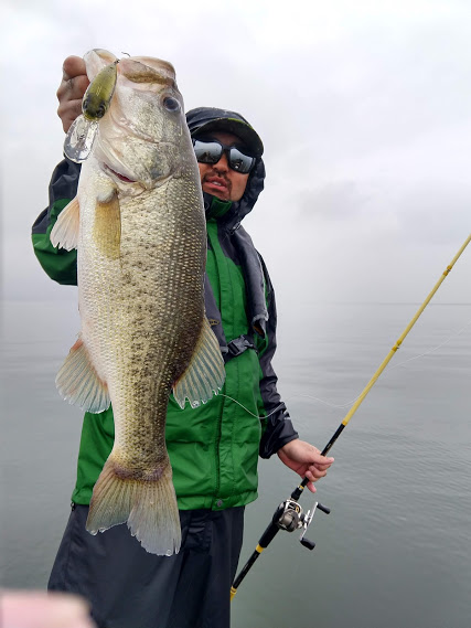 IMG_20190528_131911344_HDR