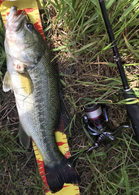 a6594a7b-5087-4884-9588-71b8a576ec7c