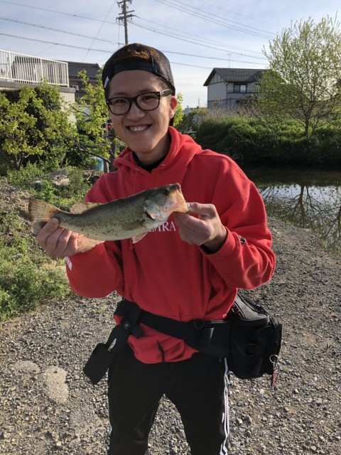 bc0e5931-822a-4420-a94d-4726a87aee38