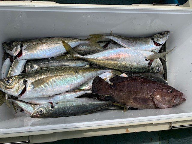 !cid_55272DA7-9344-4C9D-938F-479AA32B65F2