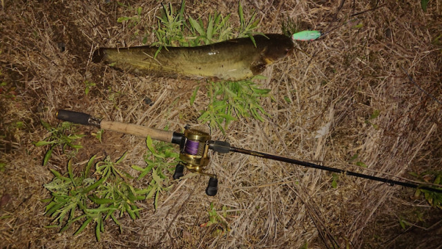 o1080060714414264540