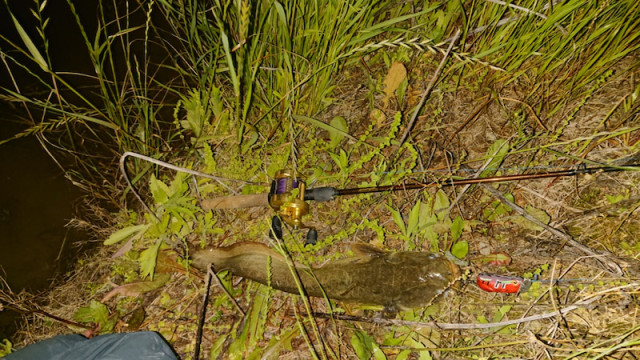 o1080060714414264547