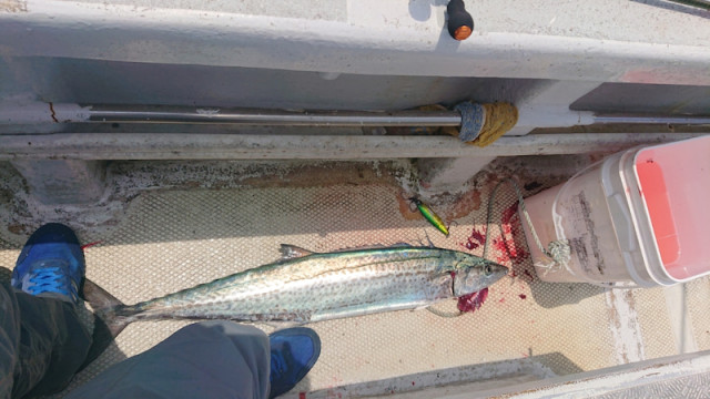 o1080060714417427480