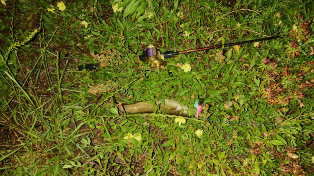 o1080060714418133184