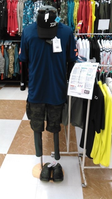 wp-1558502441423-640x360