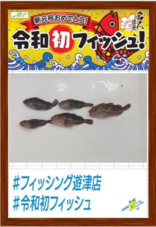 お待ちかね、キス釣れ始めました！