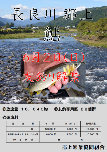 Ｈ31アユ解禁ポスター図