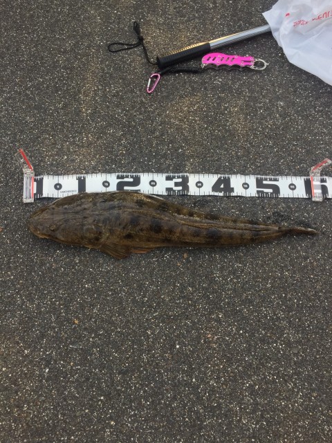 08b80752-87e3-452e-91e2-1b379ce222c4