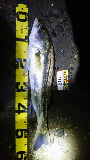 12b1071d-6190-4137-9c4b-77a34dba1451