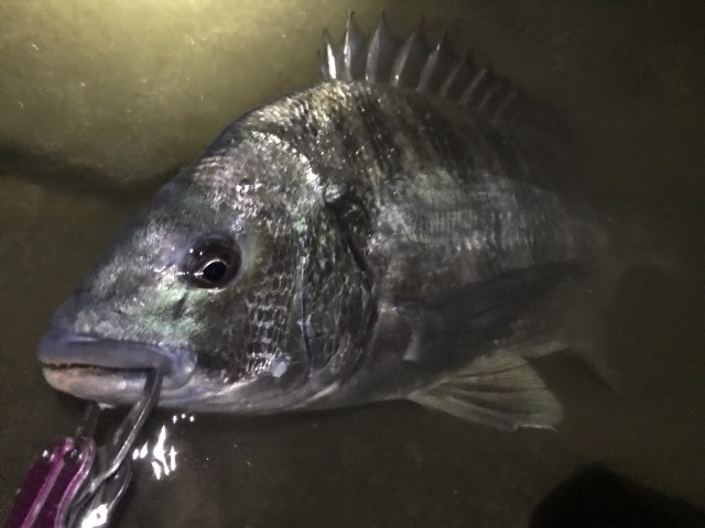 17b4311c-10d2-4250-9349-ce45a7f54723