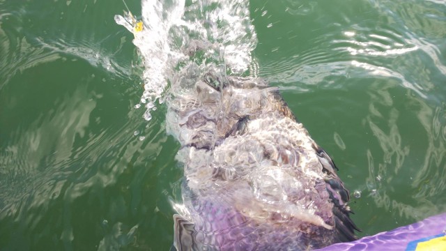 2aa1451b-4245-4070-bd45-75794aca2bec