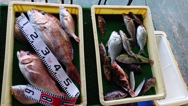 3048198e-a68a-47c6-b27c-af58904c489d