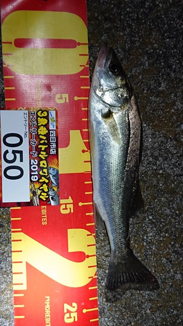 3e7b175b-ecc9-4868-898d-9252d50a14e6