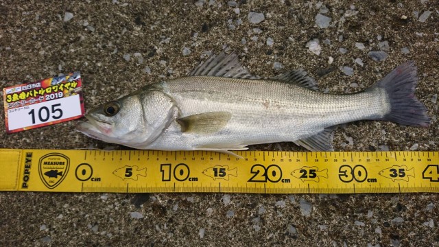 4af13f1a-bb90-468c-b1d6-7884525bff49