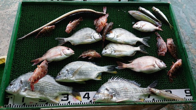 5ab92237-36da-4b90-bf79-6a120776e829