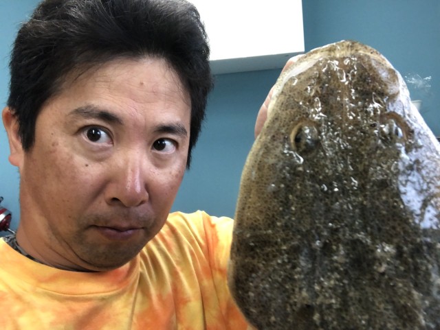 5f1f72db-4fa7-47a4-8d21-70698a0858b1