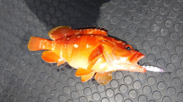 66d6fc75-5c86-440b-9e90-9ad9b1710ffe