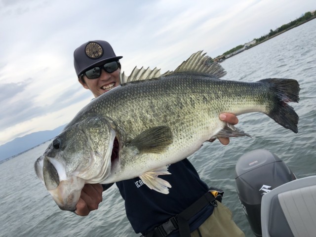 67a38947-e507-4f55-b1d5-8cc98db2a311