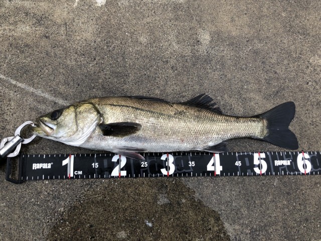 69da95cd-9a04-4cfe-84ad-819624d07028